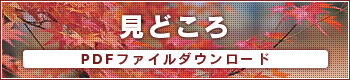 見どころ