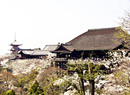 KYOTO